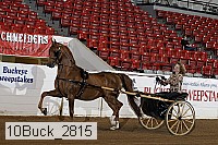 10buck_2815 proof