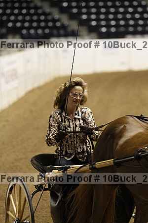 Proof 10buck_2816