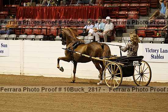 Proof 10buck_2817