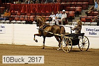 10buck_2817 proof