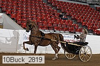10buck_2819 proof