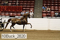 10buck_2820 proof