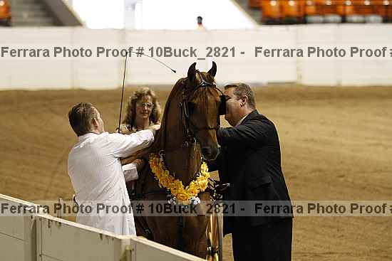 Proof 10buck_2821