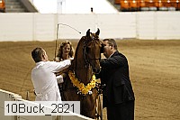 10buck_2821 proof