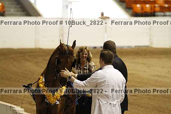Proof 10buck_2822