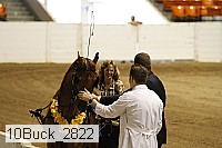 10buck_2822 proof