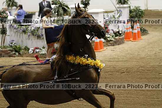Proof 10buck_2823