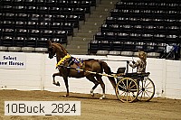10buck_2824 proof
