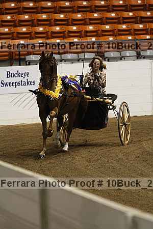 Proof 10buck_2825