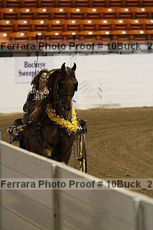 Proof 10buck_2826