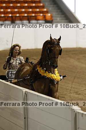 Proof 10buck_2827