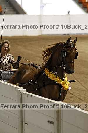 Proof 10buck_2828
