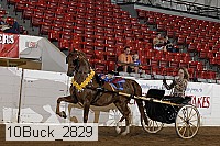 10buck_2829 proof