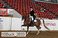 10buck_2833 proof