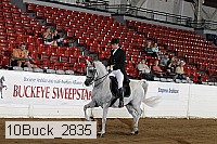 10buck_2835 proof