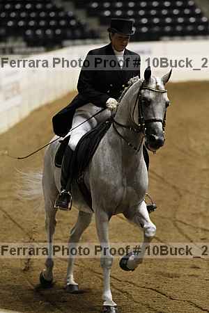 Proof 10buck_2836