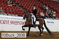 10buck_2838 proof