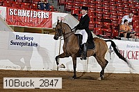 10buck_2847 proof