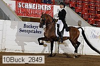 10buck_2849 proof