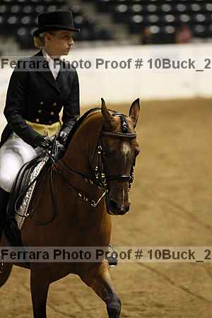 Proof 10buck_2851