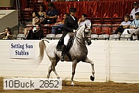 10buck_2852 proof