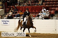 10buck_2853 proof
