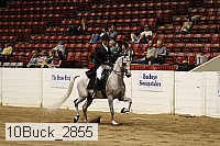 10buck_2855 proof