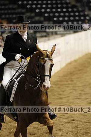 Proof 10buck_2858