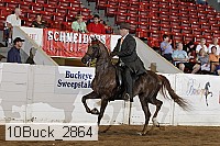 10buck_2864 proof