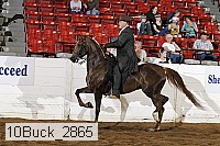 10buck_2865 proof