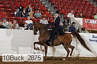 10buck_2875 proof