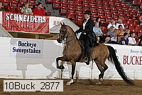 10buck_2877 proof