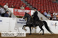 10buck_2881 proof