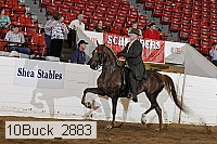 10buck_2883 proof