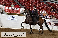 10buck_2884 proof