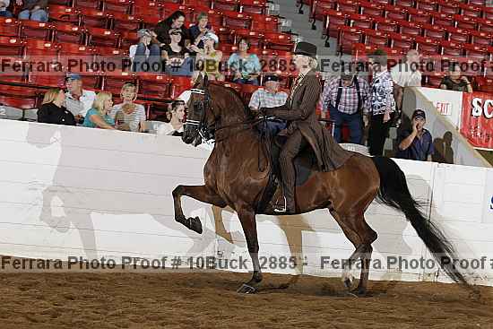 Proof 10buck_2885