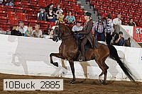 10buck_2885 proof