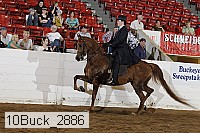 10buck_2886 proof