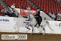 10buck_2888 proof