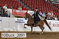 10buck_2891 proof
