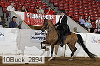 10buck_2894 proof