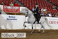 10buck_2897 proof