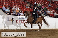 10buck_2899 proof