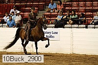 10buck_2900 proof