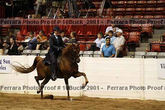 Proof 10buck_2901