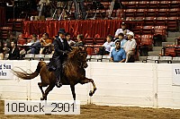 10buck_2901 proof