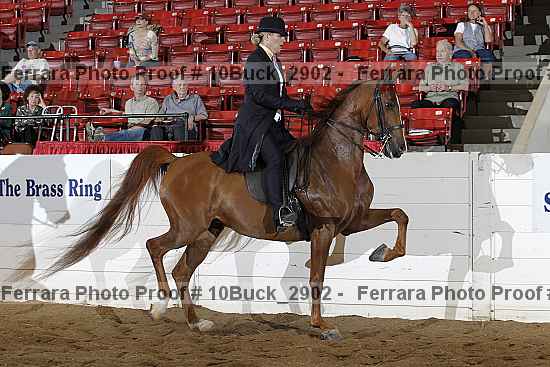 Proof 10buck_2902