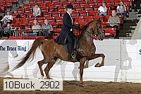 10buck_2902 proof