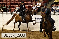 10buck_2903 proof