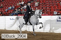 10buck_2904 proof